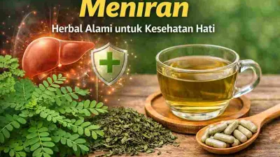 Meniran herbal alami untuk menjaga kesehatan hati dan membantu fungsi detoksifikasi liver