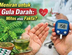 Meniran untuk Gula Darah, Mitos atau Fakta? Ini Penjelasannya
