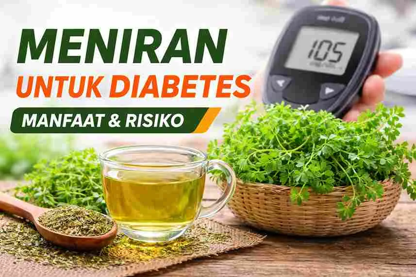 Thumbnail meniran untuk diabetes dengan tanaman meniran segar, teh herbal, dan alat cek gula darah