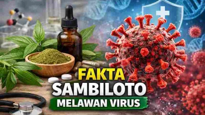 Ramai Dibahas, Ini Fakta Sambiloto dalam Melawan Virus