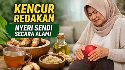 Kencur sebagai herbal alami untuk membantu meredakan nyeri sendi dan rematik pada lansia
