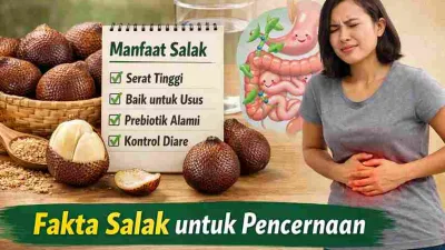 Buah salak matang dan ilustrasi sistem pencernaan yang menunjukkan manfaat salak untuk melancarkan pencernaan dan menjaga kesehatan usus.