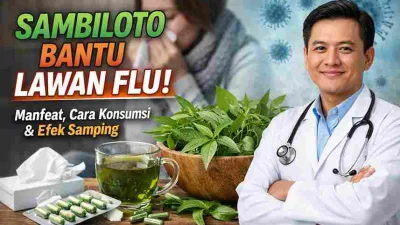 Sambiloto Bantu Lawan Flu, Dokter Ungkap Khasiatnya