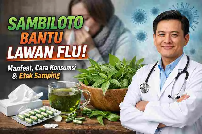 Dokter menunjukkan tanaman sambiloto sebagai herbal alami yang dipercaya membantu melawan flu dan meningkatkan daya tahan tubuh