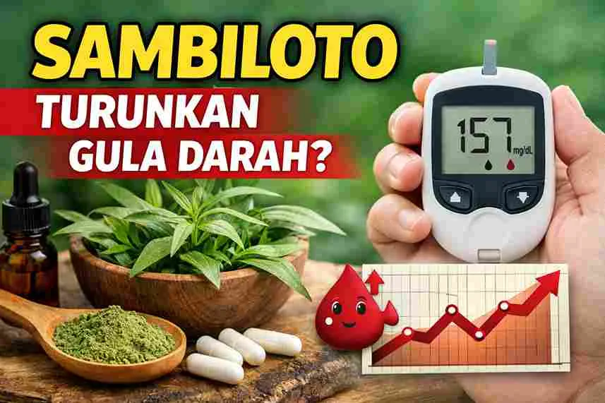 Tanaman sambiloto dan alat cek gula darah yang menggambarkan potensi sambiloto membantu menurunkan kadar gula darah