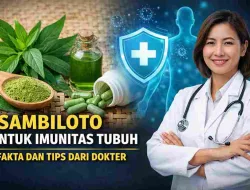Sambiloto Disebut Ampuh untuk Imunitas, Ini Kata Dokter