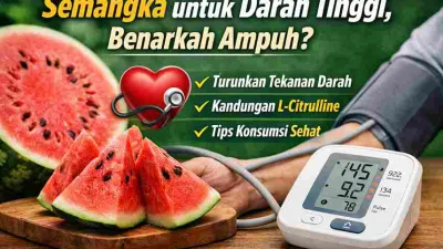 Semangka segar dan alat pengukur tekanan darah sebagai simbol buah alami untuk membantu menurunkan darah tinggi