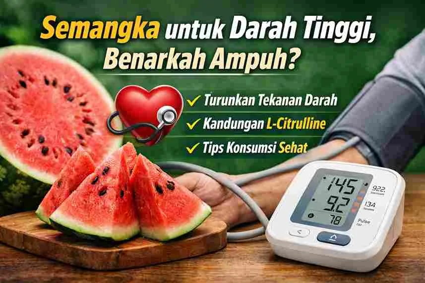Semangka segar dan alat pengukur tekanan darah sebagai simbol buah alami untuk membantu menurunkan darah tinggi
