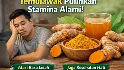 Sering Merasa Lelah? Temulawak Dipercaya Pulihkan Stamina
