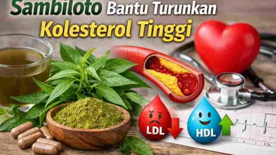 Tak Banyak Tahu, Sambiloto Bantu Jaga Kolesterol Tinggi