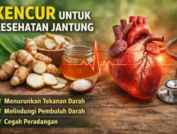 Tak Banyak yang Tahu, Kencur Bantu Jaga Kesehatan Jantung