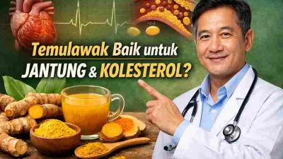 Dokter menunjuk temulawak dengan ilustrasi jantung dan kolesterol sebagai simbol manfaat temulawak untuk kesehatan jantung