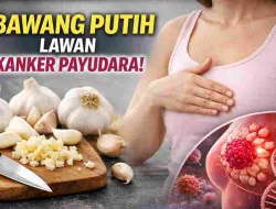 Terungkap! Bawang Putih Bisa Bantu Lawan Kanker Payudara
