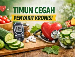 Timun Bantu Cegah Penyakit Kronis, Ini Fakta Medisnya