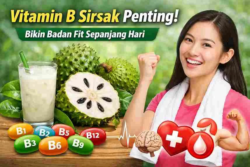 Thumbnail artikel tentang manfaat vitamin B pada buah sirsak, menampilkan buah sirsak, jus sirsak, ikon vitamin B kompleks, dan wanita sehat yang tampak energik.